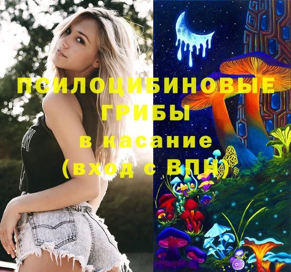 герыч Бронницы